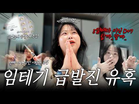 임테기 하려고 해도 불안, 안해도 궁금 .. 미쳐😱 5일배아 3차 이식 후 7일간의 기록‼️ 임신준비 영양제 추천, 마미앤대디, 94년생 평택 직장인 시험관 브이로그 Ep.15