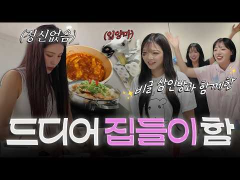 [김연정 EP.40] 드디어 집들이 했다! 비글 삼인방과 함께한 집들이 브이로그🏠 ㅣ #치어리더 #김연정 #한화이글스 #우수한 #최석화 #하지원