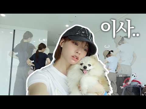 (SUB) 드디어 독립했습니다🏡 첫 자취방 이사하는 날📦 | 현실 이사 브이로그 VLOG