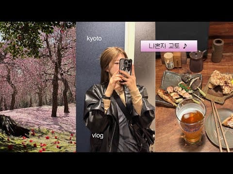 나혼자 교토 3박4일 여행 브이로그❀ 기록하는 여행, 조난구 매화, 맛집, 쇼핑 투어, 호텔추천, 아라시야마, 이치조지, kyoto vlog