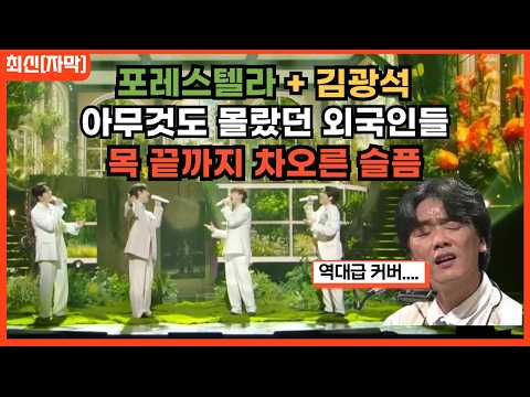 [포레스텔라 2026무대] 김광석 노래로 전세계 감동 폭발 포레스텔라 너에게 해외반응 리액션 FORESTELLA TO YOU REACTION REACT