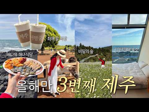 올해만 3번째 제주도 여행🏝️맛집 대성공 코스🍣 (해녀식당.비밀의숲.가성비 오션뷰 숙소.N번째 갔던 카페추천.구독자 이벤트🎁)