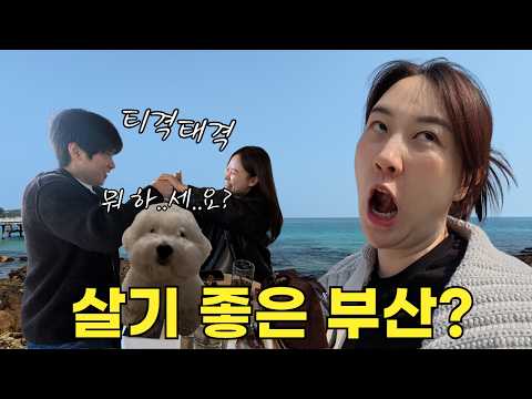 임산부의 찐 만족스런 부산살이 브이로그🩵 (w.36살 친구들의 고품격 대화, 해운대 자연분만의 신(선생님)과의 만남, 송정바닷가 산책)