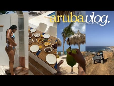 aruba travel vlog 🇦🇼 - villa tour, flamingo beach, private chef & atv adventure