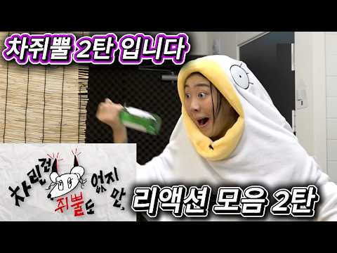해외반응 이영지의 차린건 쥐뿔도 없지만 (차쥐뿔) 리액션 모음 2탄