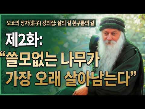 제256강 오쇼 장자 강의 《삶의 길 흰구름의 길》 2화: 쓸모없는 나무가 가장 오래 살아남는다
