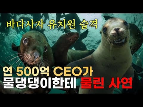 멕시코 프리다이빙 브이로그 Ep.2 🇲🇽 바다사자 천국 ‘막달레나 포인트’ (혹등고래/청새치)