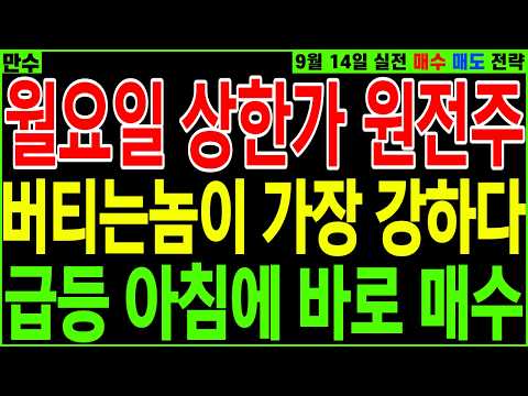 [원전 대장주 주가전망] 월요일 상한가 원전주 버티는 놈이 가장 강하다 아침에 바로 매수 | 디에스경제황제주식 만수