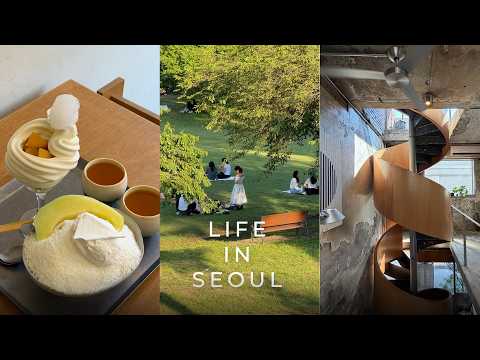 Summer in Seoul - New Neighborhood Cafes, Gwangjang Street Food & Olympic Park Picnic