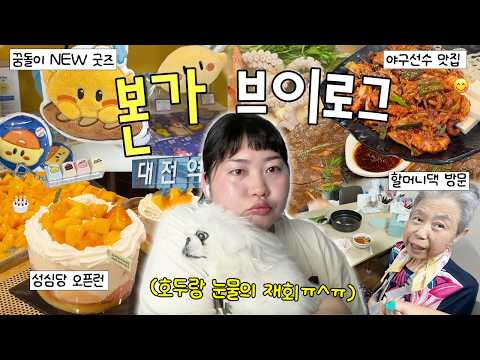 호주 워홀 끝! 1년 만에 돌아온 본가 브이로그🏡 성심당 케이크 오픈런🎂 • 대전 야구선수 맛집 • 꿈돌이 신상굿즈 • 창억떡 • 대전 밭 근황🌿