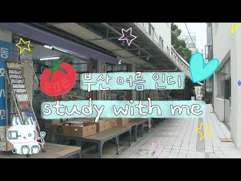 Playlist | 여름밤에 인디 들을래 공부할래 난 둘 다  | 백아, 최유리, 신지훈, 허회경…