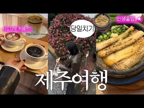 제주도 여행 브이로그.꼭 추천하고싶은 맛집, 카페 가득! 밥배 따로 디저트배 따로야 계속 먹는거야
