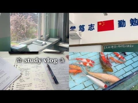 study vlog | 중국 고등학교 유학생 🇨🇳 시험기간 공부 브이로그 📚⋆˙⟡  | Exam Week in a Chinese High School w/ Subtitles