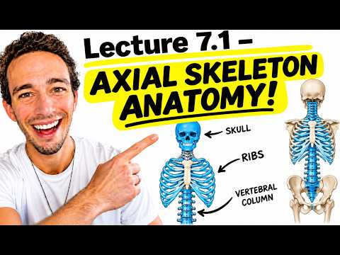 A&P1 Lecture 7.1 - Axial Skeleton Anatomy (ACE Your Practical!)