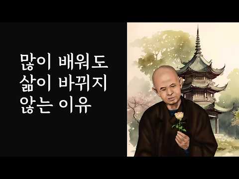 많이 배워도 삶이 바뀌지 않는 이유 #마음공부 #현존 #내려놓음 #내맡김