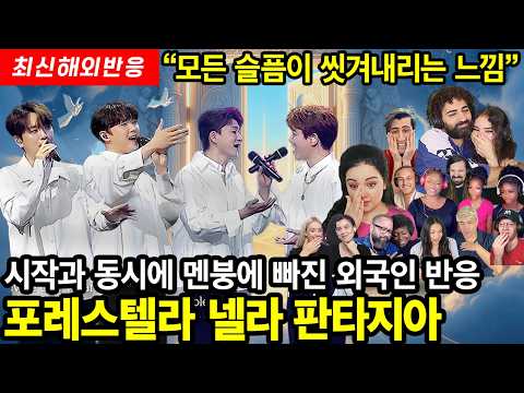 마치 천국의 문앞에서 울려퍼질 것 같다는천상의 하모니란 바로 이런 것! 영혼까지 치유되는 느낌이라는 포레스텔라의 넬라판타지아 최신 해외 반응
