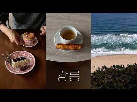 강릉 카페 맛집 브이로그