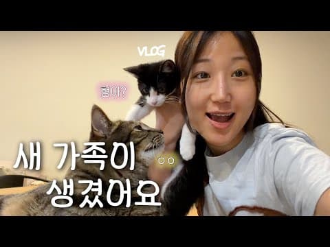🐾 둘째 고양이 입양 브이로그 🍼 입양부터 합사까지의 기록! 우리집에 온걸 환영해♥︎