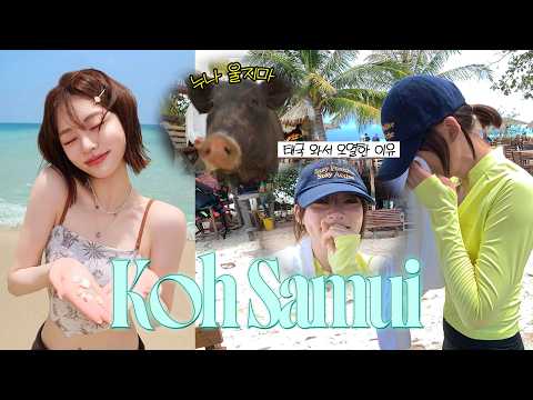 (SUB) 태국 와서 돼지한테 물리고 병원 실려간 썰 | 코사무이 VLOG 🇹🇭