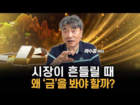 유동성이 늘어나는 시대, 왜 다시 금인가… 가격을 결정할 ‘3가지 변수’ (곽수종 박사)