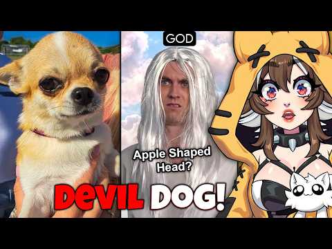 WHY WOULD GOD CREATE THIS DOG?! | GOD MAKES DOG BREEDS REACTION